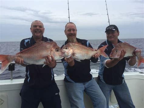 reef fishing charters sydney